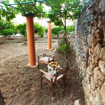 Apartman Tree Garden *
