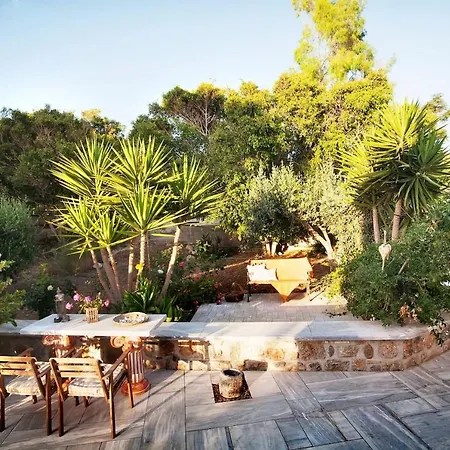 Apartman Tree Garden