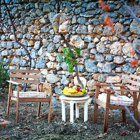 Apartman Tree Garden *